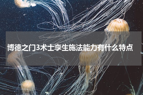 博德之门3术士孪生施法能力有什么特点