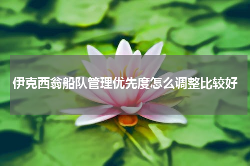 伊克西翁船队管理优先度怎么调整比较好