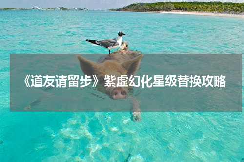 《道友请留步》紫虚幻化星级替换攻略