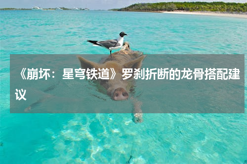 《崩坏：星穹铁道》罗刹折断的龙骨搭配建议