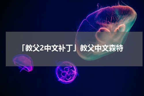 「教父2中文补丁」教父中文森特