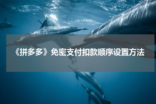 《拼多多》免密支付扣款顺序设置方法