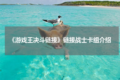 《游戏王决斗链接》链接战士卡组介绍