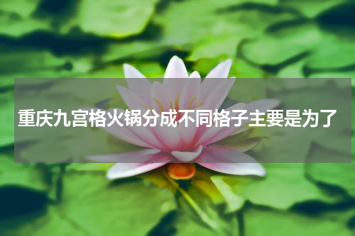 重庆九宫格火锅分成不同格子主要是为了