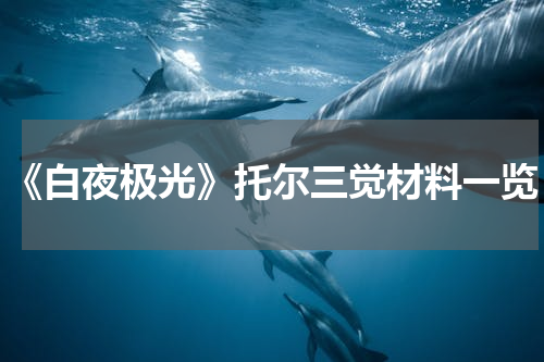 《白夜极光》托尔三觉材料一览