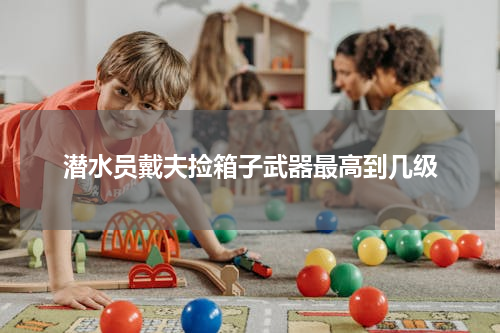 潜水员戴夫捡箱子武器最高到几级