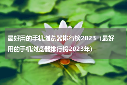 最好用的手机浏览器排行榜2023（最好用的手机浏览器排行榜2023年）