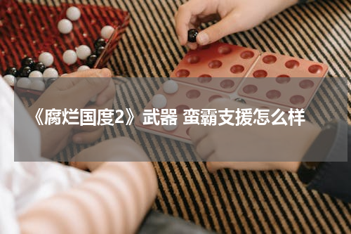 《腐烂国度2》武器 蛮霸支援怎么样